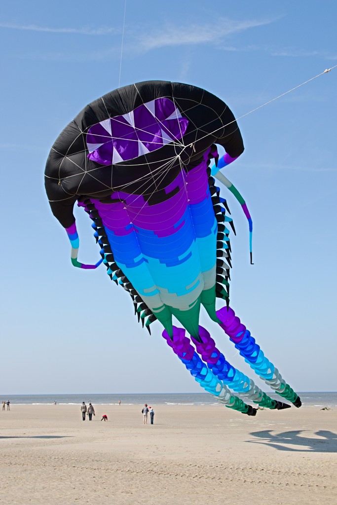 Cerfs-Volants vliegerfestival festival festiviteit evenement event berck sur mer vlieger speelgoed strand